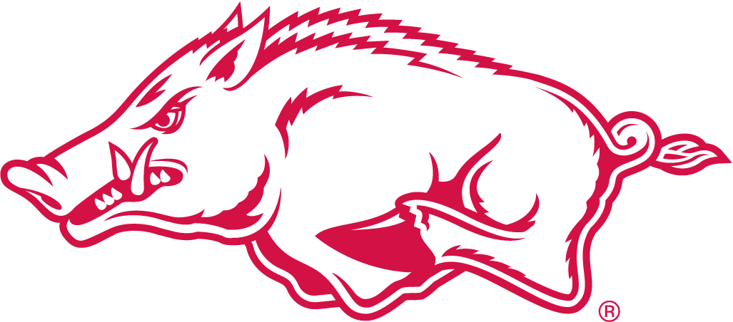 Arkansas Razorbacks 2001-Pres Alternate Logo v2 iron on transfers for clothing